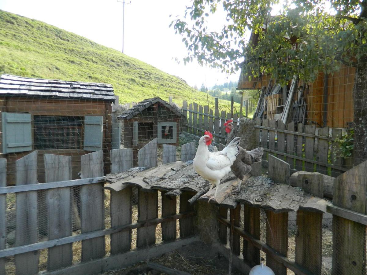 Reiters-Ferienhaus Russbach am Pass Gschuett Exterior photo